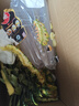 佳農(nóng) 黑鉆菠蘿1粒裝 菲律賓鳳梨 凈重2斤起 新鮮水果 源頭直發(fā) 包郵 曬單實(shí)拍圖