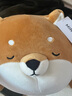 名創(chuàng)優(yōu)品（MINISO）柴犬系列毛絨公仔趴姿玩具娃娃抱枕睡覺室內(nèi)臥室辦公室生日禮物 曬單實拍圖