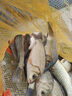 川澤一體成型夜光漂咬鉤變色高靈敏鯽魚(yú)漂醒目浮漂鰱鳙大物電子夜釣漂 升級款PL1-3(淺水草洞)吃鉛2.2g 咬鉤變色款 曬單實(shí)拍圖