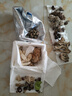 知鮮之鮮新鮮云南野生菌組合【順豐空運】羊肚菌牛肝菌見手青煲湯火鍋食材 新鮮野生菌組合 兩斤裝 曬單實拍圖