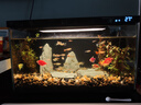 米家（MIJIA）智能生態(tài)魚(yú)缸定時(shí)喂食智能魚(yú)缸+畫(huà)法幾何增氧泵套裝 曬單實(shí)拍圖