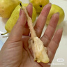 農(nóng)果傳橙煙臺太婆梨 山東梨子啤梨香蕉梨大頭梨茄梨軟梨子中秋節(jié)禮盒送禮 10斤精選裝【不含禮盒】 【金獎A級果 京東配送】 曬單實拍圖