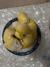 【保4房肉】A級進(jìn)口金枕鮮榴蓮1粒2-2.5kg(M) 曬單實拍圖