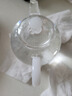 高茗一人用小茶壺可加熱玻璃單壺精致迷你高硼硅泡茶壺辦公室過濾茶具 曬單實拍圖