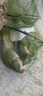 川澤免調(diào)漂魚鉤線組套裝浮漂金袖子線雙鉤高靈敏魚漂釣魚新手組合套裝 【4.5M】免調(diào)漂套裝（日用款） 線號1.0 曬單實(shí)拍圖