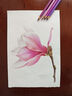 輝柏嘉（Faber-castell）彩鉛水溶彩色鉛筆畫(huà)筆綠輝套裝輝映百年禮盒 【新品】輝彩瑞境 油性120色 曬單實(shí)拍圖