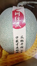 京鮮生 玫瓏網(wǎng)紋甜瓜 2粒裝 凈重4斤起 源頭直發(fā)包郵 曬單實(shí)拍圖