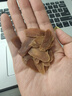 朕皇北京同仁堂 紅參片整支切片泡水補氣血養(yǎng)生茶氣血不足氣血兩虛 曬單實拍圖