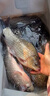 魚(yú)耀水產(chǎn)養殖魚(yú)塘紅點(diǎn)凈魚(yú)身上有紅點(diǎn)用錨頭騷中華鳋蟲(chóng)卵護魚(yú) 100ml小瓶*1（建議詢(xún)問(wèn)客服用法用量） 曬單實(shí)拍圖