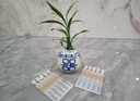 潤百顏華熙生物HACE撫紋次拋精華30支早C晚A抗皺淡紋護(hù)膚品生日禮物女 曬單實(shí)拍圖