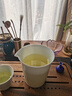 玫瑰紅茶茉莉綠茶桂花九曲紅梅龍井茶 杭州特產組合花茶包辦公室 九曲紅梅，50克 曬單實拍圖