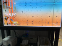 創(chuàng)寧變頻潛水泵 CN-9500-13W 10檔流量調(diào)節(jié) 魚缸假山噴泉池循環(huán)抽水 曬單實(shí)拍圖