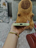 圣圖朗新款碎花涂鴉適用iPhone16plus蘋果14PromAX手機(jī)殼15AI全包13簡(jiǎn)約磁吸11液態(tài)硅膠植絨12防摔保護(hù)套 液態(tài)硅膠【碎花涂鴉】草紫色磁吸款  iPhone 16 pro max 曬單實(shí)拍圖