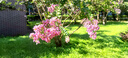 紅谷林 無(wú)糖九黑藜麥谷物餅干208g 曬單實(shí)拍圖