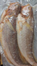 三都港 冷凍三去大黃魚凈重2斤/2條裝 寧德黃花魚 生鮮魚類 燒烤 曬單實拍圖