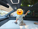 Havnby安溫白適用極氪7x汽車載內(nèi)副駕用充氣午休單人睡覺用品云輕墊床墊 極氪7X單人云輕墊【Max升級版】 曬單實拍圖