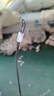 眼鏡幫德國標準眼鏡防滑耳套眼鏡框鏡腿固定耳后勾鏡腳套防掉器眼鏡配件 曬單實拍圖
