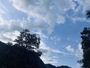 蘇泊爾（SUPOR）電燉鍋 電燉盅電砂鍋 煲湯鍋燉湯鍋紫砂鍋 燕窩燉盅 煮粥嬰兒輔食鍋電煮鍋 3L DG30YC816多功能鍋 曬單實拍圖