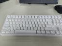前行者M(jìn)T87無(wú)線(xiàn)機械鍵鼠套裝藍牙三模電競游戲108鍵臺式筆記本電腦女生辦公通用外設 87鍵奶白色【2.4G無(wú)線(xiàn)版】 茶軸 曬單實(shí)拍圖