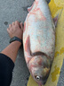 一味化氏NEX魚(yú)竿大物竿手竿釣竿鰱鳙竿超輕超硬綜合竿釣竿臺釣竿 7.5m 曬單實(shí)拍圖