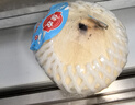 佳農(nóng) 泰國(guó)進(jìn)口椰青9粒裝 單果900g+ 贈(zèng)開(kāi)椰器吸管 生鮮水果 源頭直發(fā) 曬單實(shí)拍圖