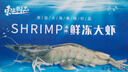 東上御品 國產(chǎn)青島大蝦 特大號白蝦 2030規(guī)格 凈重3斤 盒裝活凍 曬單實拍圖