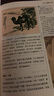 中國古代神話故事袁珂著山海經(jīng)徐客徐克編著四年級上冊現(xiàn)代出版社希臘神話故事德施瓦布著快樂讀書吧閱讀正版 【三冊】中國古代神話（袁珂）+山海經(jīng)（徐客）+希臘 曬單實拍圖