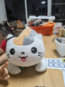 藝樂坊毛絨玩具貓公仔娃娃抱枕長條靠墊睡覺枕頭女孩生日禮物玩偶貓咪 圓眼款 45厘米 曬單實(shí)拍圖