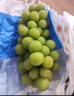 京鮮生國產陽光玫瑰凈重3斤單果10-12g 葡萄/提子生鮮水果 源頭直發(fā)包郵 曬單實拍圖