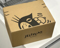 Jellycat害羞藍(lán)色邦尼兔 柔軟毛絨玩具公仔玩偶送禮娃娃生日禮物 害羞藍(lán)色邦尼兔 Medium 曬單實(shí)拍圖