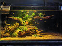 卡絡(luò )繹金晶五線(xiàn)超白魚(yú)缸家用客廳窄條魚(yú)缸中小型辦公桌面玻璃魚(yú)缸溪流缸 裸缸+電梯送貨上門(mén)+錄開(kāi)箱視頻包損 長(cháng)60厘米寬40厘米高30厘米厚6毫米 曬單實(shí)拍圖