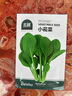 北蔬 小菘菜種子種苗青菜耐熱速生青梗菜雞毛菜種籽 小菘菜種子10g 曬單實(shí)拍圖