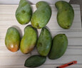 正宗廣西芒果百色芒新鮮水果產(chǎn)地直發(fā)包郵 珍品果 凈重8斤 曬單實(shí)拍圖