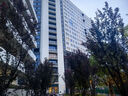伯希和（Pelliot）[MT-大師]戶外登山鞋男eVent防水Vibram防滑徒步115119031栗棕42 曬單實(shí)拍圖
