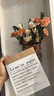 LZJVins風(fēng)法式浪漫玫瑰仿真花餐桌花客廳干花擺設(shè)高顏值軟裝拍攝道具 隨機一朵花(隨機 不支持備注) 無牛皮紙袋 曬單實拍圖