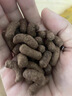星舵角蛙飼料蛙糧小青蛙糧營(yíng)養(yǎng)樹蛙食物丑娃兩棲爬寵活糧小龜蛙糧食 【泡水即食】角蛙飼料 曬單實(shí)拍圖
