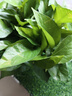 雙盟綠蘿盆栽除甲醛花卉綠植辦公室新房凈化空氣180加侖2盆裝源頭直發(fā) 曬單實拍圖