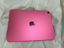 Apple/蘋(píng)果【國(guó)家補(bǔ)貼】iPad 11英寸 A16芯片2025年款 平板電腦 (128GB WLAN版/學(xué)習(xí)辦公娛樂(lè))粉色 曬單實(shí)拍圖