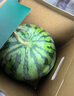 曉吸無籽麒麟瓜 4kg 曬單實拍圖