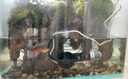 魚缸加熱棒小型恒溫加熱器烏龜缸水族箱自動斷電防爆迷你加溫棒 拇指加熱棒-10w （usb接口） 【智能感應(yīng)/離水防干燒】 曬單實拍圖