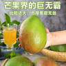 壹萌果蔬凱特芒芒果 當(dāng)季現(xiàn)摘四川大芒果新鮮水果青芒果整箱送禮 9斤精品果【單果300g+】 凈8斤 曬單實(shí)拍圖