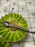 秋穎玉菇甜瓜冰淇淋香甜瓜當(dāng)季軟糯香甜水果綠肉當(dāng)季現(xiàn)貨應(yīng)季生鮮 玉菇甜瓜 5斤精選裝 曬單實拍圖