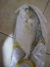 環(huán)球水產(chǎn)冷凍南海金鯧魚(yú)2斤/2條 生鮮魚(yú)類(lèi) 火鍋 深海魚(yú) 海鮮水產(chǎn) 家庭聚餐 曬單實(shí)拍圖