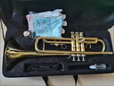 雅馬哈YAMAHA原裝小號(hào)YTR-8335GS降B調(diào)初學(xué)考級(jí)工藝演奏雅馬哈初學(xué)小號(hào) YTR-4335金色小號(hào)（初學(xué)入門款） 曬單實(shí)拍圖