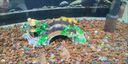 魚缸造景裝飾橋 微景觀樹脂橋龜爬臺水族復(fù)古拱橋擺件 魚缸(小號)有樹橋 曬單實拍圖