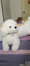 藝樂(lè )坊毛絨玩具狗公仔仿真小狗布娃娃兒童玩偶可愛(ài)布偶女孩生日禮物 白色-泰迪狗 40厘米 曬單實(shí)拍圖