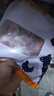 伊明食品進口原切牛瘦肉3斤 清真生鮮牛肉精選大塊牛瘦肉部位燉煮健身減脂 曬單實拍圖