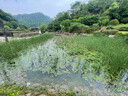 【網(wǎng)紅爆款】商務(wù)腕表石英運(yùn)動(dòng)表休閑皮帶男女手表 黑色【升級(jí)】 曬單實(shí)拍圖