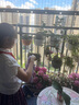 YALOTT【雅蘭特】深圳校服小學(xué)升級(jí)版夏秋冬禮服學(xué)院風(fēng)柔軟舒適挺括有型 升級(jí)版小學(xué)夏禮套裝（女，有領(lǐng)花） 120 曬單實(shí)拍圖