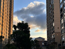 德妃紫蘇養(yǎng)膚隔離霜清透隔離防曬素顏霜遮瑕二合一禮物 【新品】養(yǎng)膚隔離50ml 水潤清透 曬單實(shí)拍圖